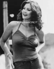 Gorgeous Actress "Lynda Carter" "Wonder Woman" "Pin-Up" PHOTO! #(137)