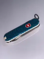 Victorinox Swiss Army Knife "Spread Your Wings" 0.6223.L1208