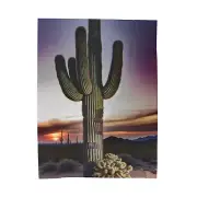 Velveteen Plush Blanket Saguaro Cactus Desert Sunset Sky Western Home Decor