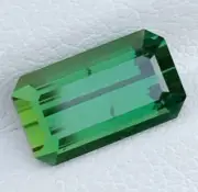 2.70Cts Emerald Shape Faceted Tourmaline