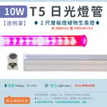 【2尺T5 10W 透明罩-5R1B】✨光譜照明LED 紅藍光 植物生長燈 水族燈 植物燈 多肉養殖 植物日照燈