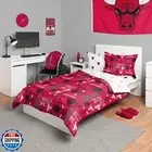 FOCO Chicago Bulls NBA Team Color Bed in a Bag Comforter Bedding 5 Piece Set
