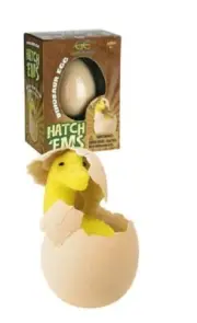 Hatch'ems Dinosaur Egg - Grow Your Own Dinosaur Pack of 2
