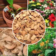 Coconut Husk dry chips 100% Natural growing anthurium orchids