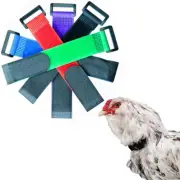 6 Pack No Crow Rooster Collar, Crow Collar Rooster Collar No Crow Noise Neck Bel