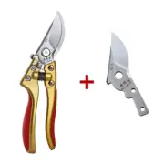 Fruit Tree Pruning Branch Scissors Flowering Branch Gardening Scissors SK5 Steel