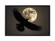 Eagle Framed Print Fine Art Poster Print