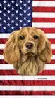 Cocker Spaniel Buff Patriotic Beach Towel