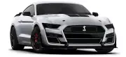 2020+ Mustang GT500 [FR] Complete Front and Rear Lens Tint Kit - 20% Tint