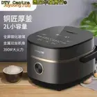 Joyoung Mini Rice Cooker 2L 1-3 people FA-F20 九阳铜釜厚胆电饭煲 3人份 4杯最新澳洲版