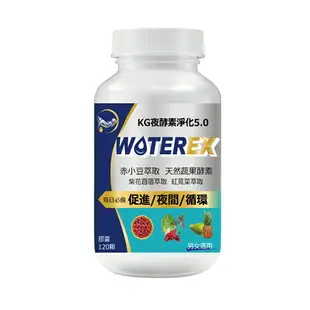 【聯華食品KGCHECK】EX夜酵素淨化膠囊(120顆)