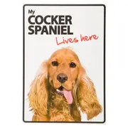 Magnet & Steel My Cocker Spaniel Lives Here