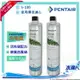 【Pentair 濱特爾】EVERPURE S100/S-100家用標準型淨水器濾心/濾芯2入 (台灣代理公司貨)★美國原裝進口★適用5-6人★有效除氯、異味、異色★水達人