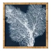 [Florabelle Living] Seychelles Coral in Rattan Frame Set of 2 Wall Art