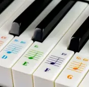 Piano Keyboard Stickers for 88/76/61/54/49/37 Key Large Letter Piano Stickers