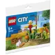 【小人物大世界】LEGO 30590 樂高 Polybag 農場花園和稻草人