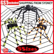 SALE Halloween Party Stretchable Spider Web Spooky Ghost Decor And Spiders Scary