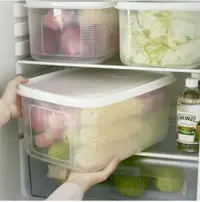 在飛比找樂天市場購物網優惠-保鮮盒 大容量冰箱保鮮盒透明塑料食物收納盒子長方形果蔬干貨密