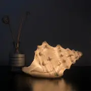 Portable Conch Shell Beach Themed Night Light For Kids Adults Bedroom Nightstand Lamp Nautical Lighting Battery Operated, Warm White-sswyv