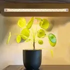 USB Plant Growth Light Full Spectrum Flower Seed Hydroponic Light 3/9/12H Timer