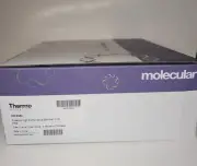 Thermo ScientificArmadillo PCR Plate, 384-well, clear, clear wells AB-2384