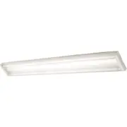 Nelson T5 Fluorescent 2 x 18W Cool White Slimline Fluorescent Fixture