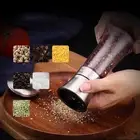 Modern Design Stainless Steel Manual Salt/Pepper Mill Grinder for Cooking