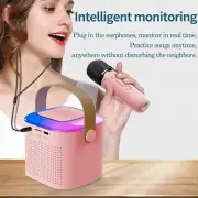 Portable Wireless Dual Microphone Karaoke Machine Bluetooth PA Speaker KTV