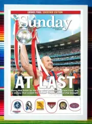Framed 2005 SYDNEY SWANS AFL Premiers Poster - 45cm x 32cm x 3cm
