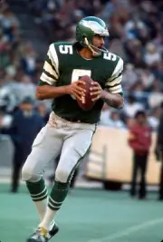 Quarterback Roman Gabriel Philadelphia Eagles drops back to pass - 1974 Photo 14