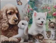 Swap cards Modern playing card back Dogs and friends