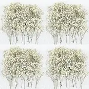 BEANPRECOY 100 Pcs Dried Baby's Breath Flowers Bulk - Ivory White Natural Gypsophila, Real Pressed Flowers for Resin Art, Wedding Decor, DIY Craft, Scrapbooking, Cards & Invitations