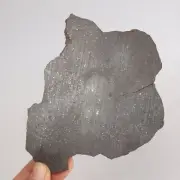 69g Chondrite Meteorite Slice,NWA unclassified Meteorite, From Northwest AB96