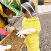1Set Anti-Bee Breathable Suit for Kids Beekeeping Practicekid Clothing + Gloves