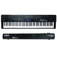 在飛比找蝦皮購物優惠-『放輕鬆樂器』全館免運費 YAMAHA CP-40 STAG