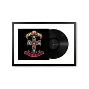 Framed Guns And Roses Appetite For Destruction Vinyl Album Art