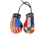 USA & DOMINICAN REPUBLIC Country Flags Mini BOXING GLOVES .. New