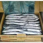 【八通食品】秋刀魚1號 10KG／台中可自取／秋刀魚／日料／燒烤