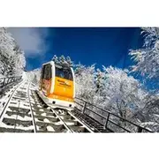 Save 20.00%! Vienna: Hallstatt & Schloss Ort Trip with Skywalk Lift
