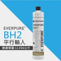 在飛比找momo購物網優惠-【EVERPURE】BH2活性碳濾芯/BH-2平行輸入濾芯(