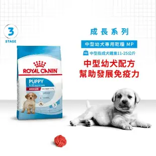 【ROYAL 法國皇家】中型幼犬專用飼料 MP 4KG(狗乾糧 狗飼料 免疫力 腸胃)