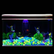 50Pcs Glow in the Dark Garden Pebbles For Garden Terrace Tank Lawn Decor H1X7