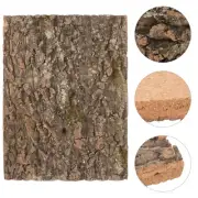 Decorative Terrarium Bark Background Reptile Tank Accessory Terrarium Reptile