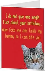 Funny Offensive Cat Birthday Card For The Owner Lover Perfect For Husband Wife Mum & Dad Blank Inside To Add Your Own Personal Greeting