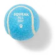 All Day Squeak All Day Fetch Ball Dog Toy Blue