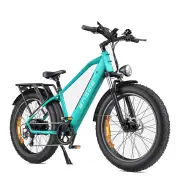 [EU DIRECT] ENGWE E26 Electric Bike 16Ah 48V 250W Electric Bike 26*4.0 Inch Fat Tire 120-140km Mileage Range E Bike For