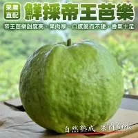 在飛比找生活市集優惠-【果之蔬】果農直配鮮採帝王芭樂5斤/10斤