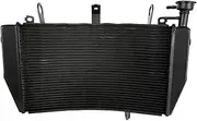 Engine Radiator Fit for Ducati Monster 1200 S 2014-2021 Monster 821 2015-2021 Supersport 950 939 936 Engine Cooling Cooler Radiator Radiator Grille