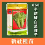 現貨）868半結球白菜種子( 即將缺貨，請先聊聊)｜半包白｜蚵白｜四分之一磅｜白菜｜專業種植｜專業種植｜育苗賣菜｜專作戶