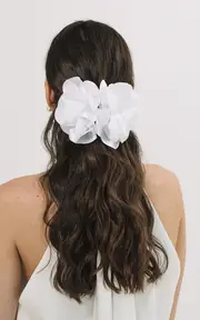 [Jennifer Behr] Carly Acrylic Jaw Clip